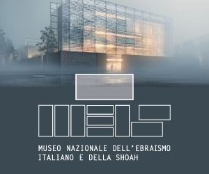 MEIS – box